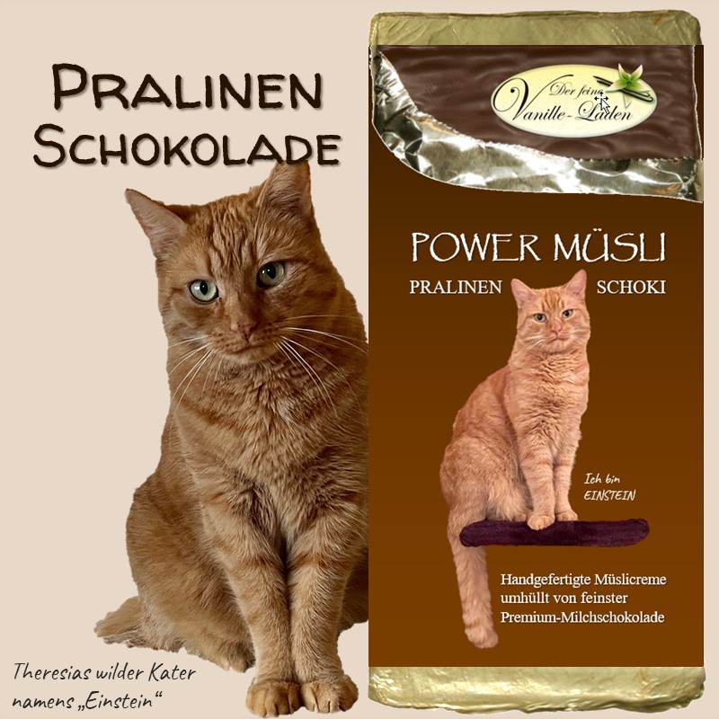 POWER MÜSLI Pralinen-Schokolade